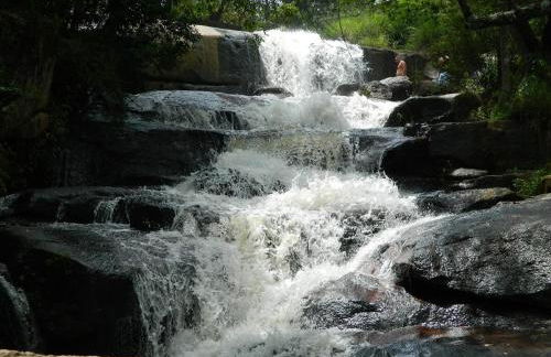 PARAÍSO ECOLÓGICO- REGIÃO ATIBAIA - Photo 53