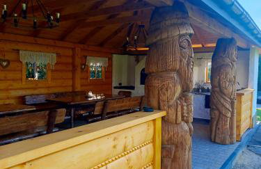 Apartament z tarasem i pokoje KLIMATYZOWANE -Drozdówka Solina - Foto 23