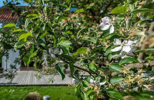 Ferienhaus Schlierachtal - Foto 10