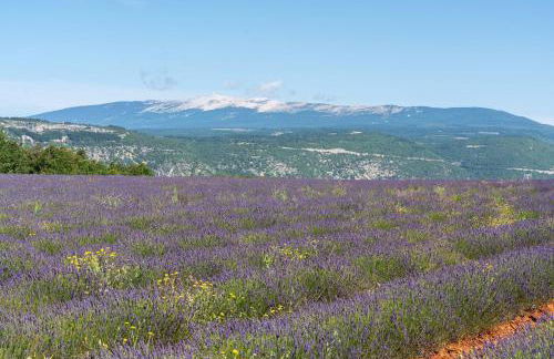 La Petite Maison - Foto 26