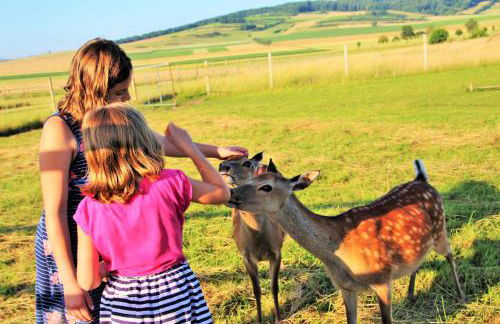 Müllers Hof Ferienwohnung/Pension - Foto 38