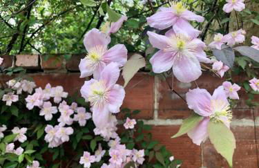 46 Paul Chandon Epernay - Foto 36