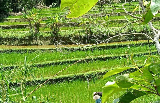 duegoal farmhouse - Photo 41