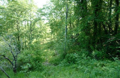 Villa di Piera - Foto 61