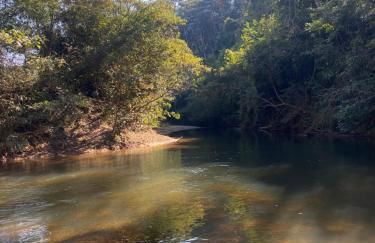 Sítio do Ziquinha - Photo 21