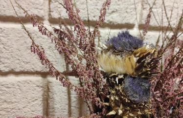 Casa Rural "El Olivo" - Foto 30