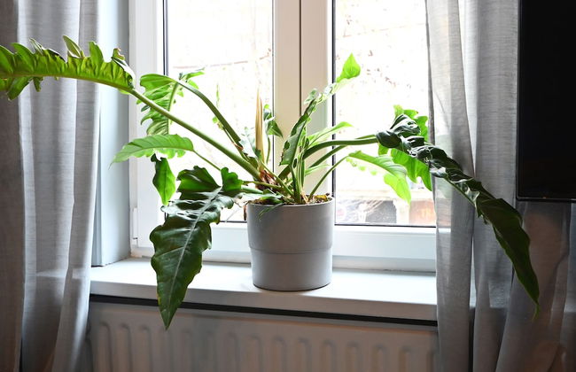 Cheap Luxury Stay From 50 Pppn - Foto 24