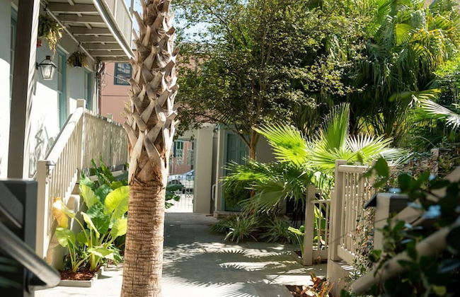 The Esplanade Compound - Foto 43