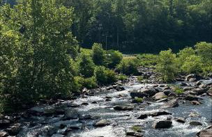 Bear's Mountaintop Home with Gorgeous Lake Views chalet - Foto 38