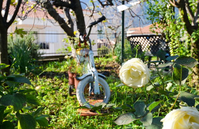 Apartments Tea Kotor - Foto 66