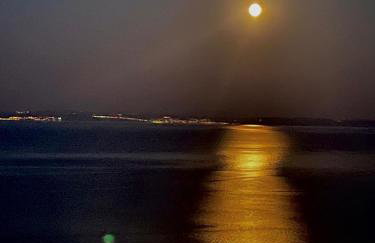 Mary's Garden - Foto 36