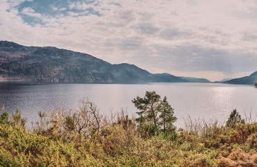 Loch Ness Mansion - Photo 40