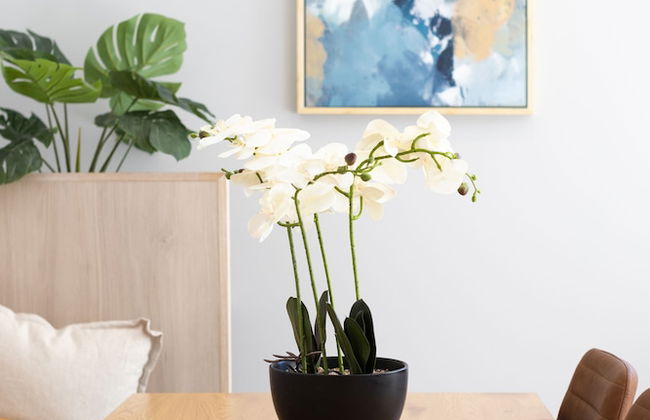 The 249 Apartments by Urban Rest - Photo 8