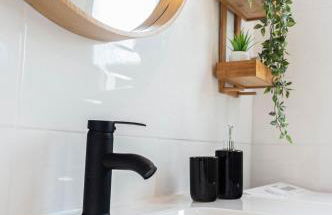 Le colibri - Photo 5