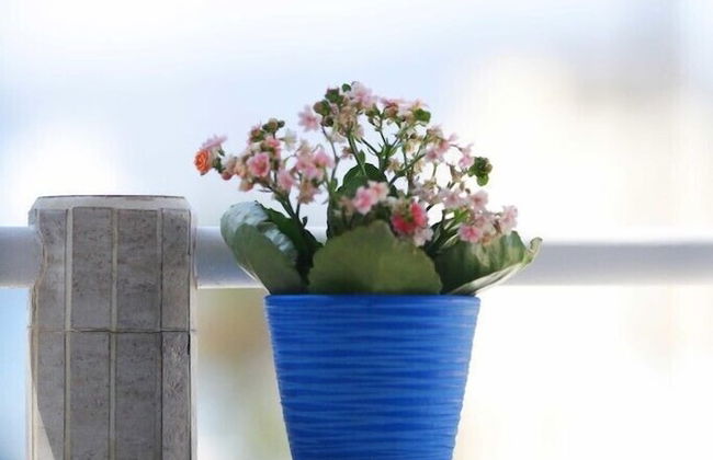 Villa Venus - Foto 47