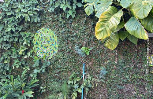 Casa da Árvore Bertioga - Photo 52