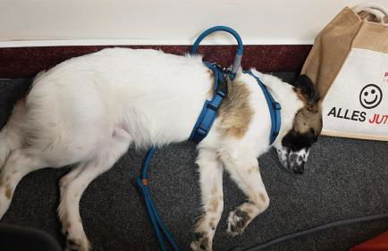 Wohnung Michael Lust auf Zuhause Ferien in der Provinz - Foto 23