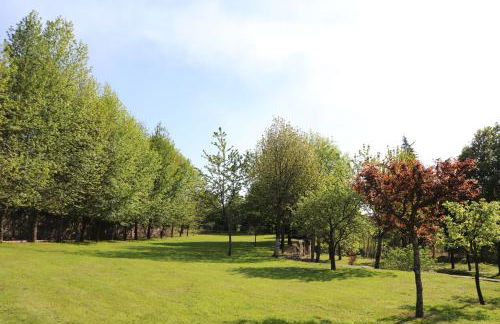 Cazal Da Lamella - Foto 53