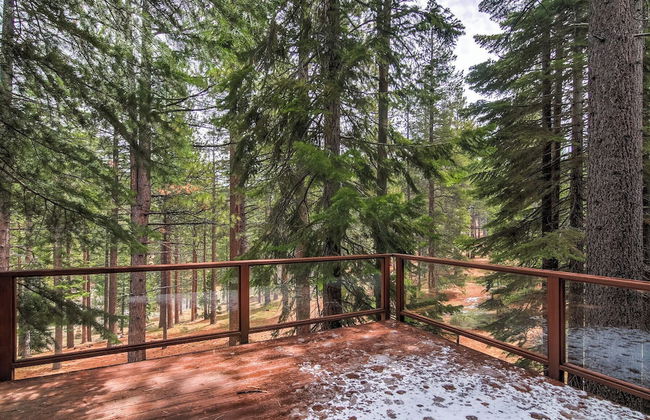 Bear Haus - Fur Babies Welcome! - Foto 25