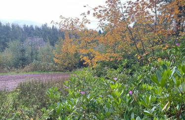 Laundry Cottage - Photo 14