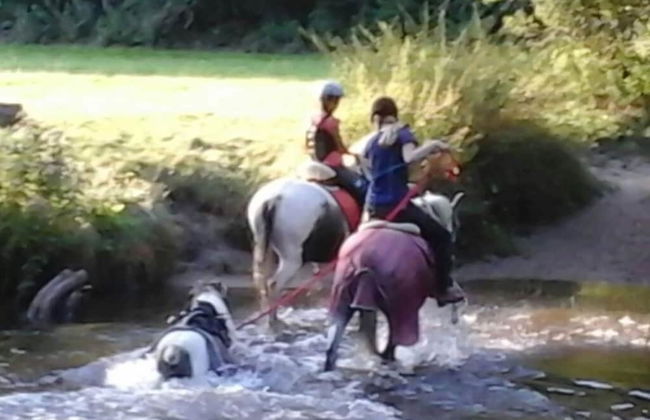 at Bunge Heath Farm - Foto 12