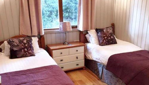 Willow Lodge 13 Hot Tub - Foto 4