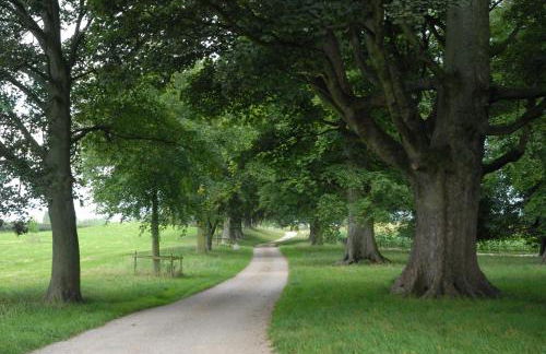 New House Wrexham sleeps 4 - Foto 14