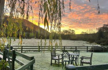 Shepherds hut, Eco, Log burner Hot tub NY moors - Foto 6