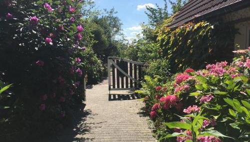 Haus Horizont - Foto 4, Garden