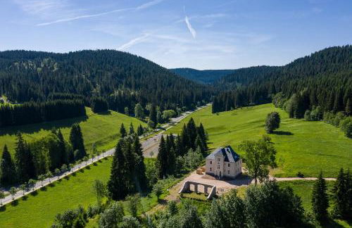 Ferienapartments Försterei Eibenstock - Foto 6