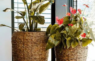 Refugio das Poldras-Villa 63 - Foto 32