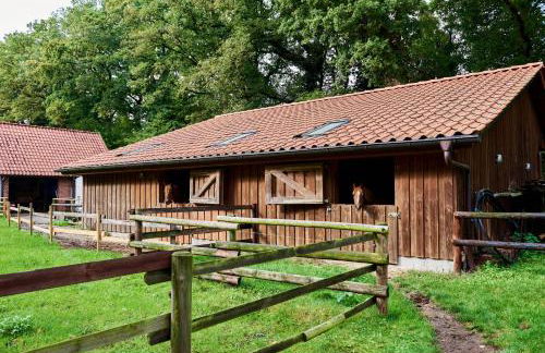 Ferienwohnung Smart am Park 35670 - Foto 10