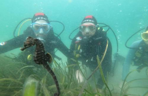 Apartamentos Ria de Aldan - Foto 58