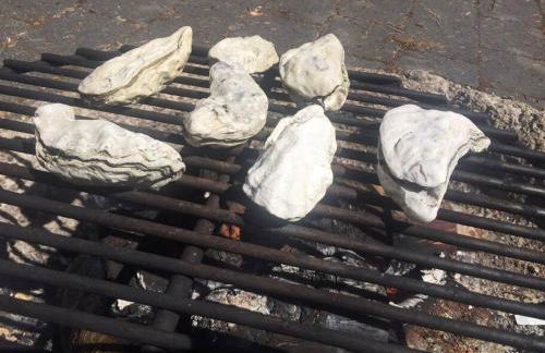 Brinnon Retreat - Foto 34