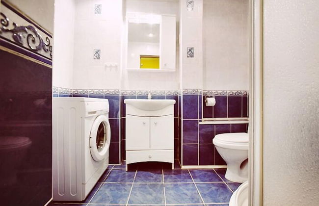 ApartLux on Smolenskaya - Photo 11