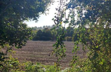 Chatterley House - Foto 59