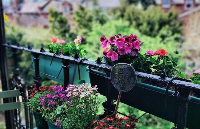 Charming London With Balcony - Foto 8