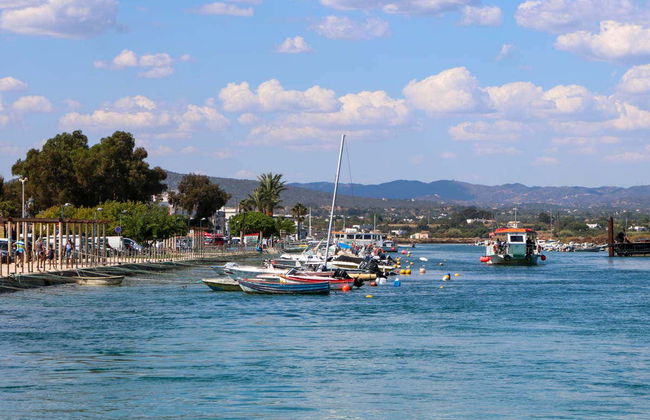 Observation de dauphins à Fuseta - Photo 6