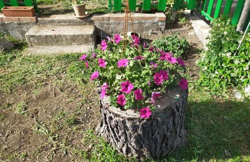 CHALET IL GELSOMINO DELL'ETNA - Foto 36