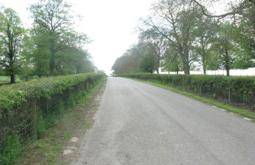 Moo Cow Cottage Self Catering - Photo 27