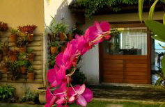 A CASA FORMOSA - Foto 14