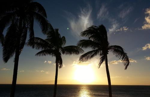 Finca La Paz - Foto 20