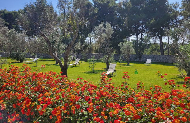 AGRITURISMO SCALELLE - Photo 31