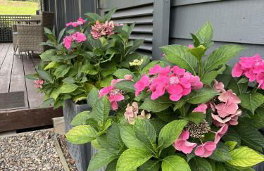 The Artist's Studio - Foto 5