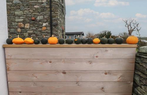 Hen Penmynydd - Foto 29