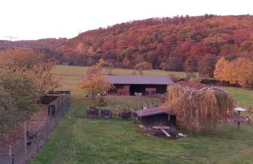 Oma Lina Haus - 4 SZ 2 Bäder großer Garten und Infrarot-Sauna - Photo 52