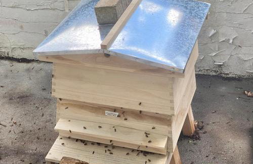 Unique Orchard Lodge for couples with hot tub - Photo 19