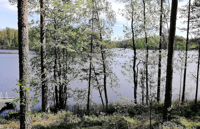 Salkolahti Minttu - Foto 24