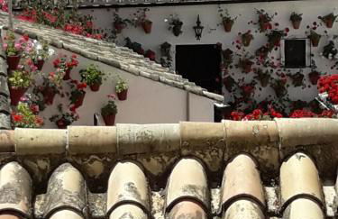 Los Tejares del Alcazar - Foto 34