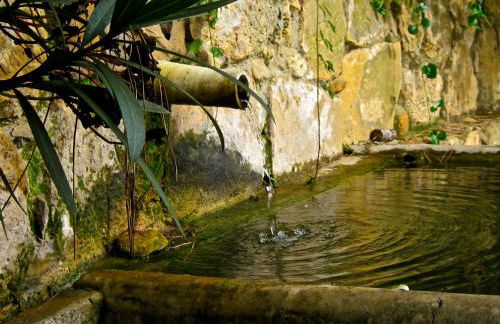 Agriturismo Bannata - Foto 92